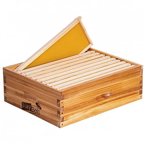 Optimiza tu apicultivo: Análisis de la Super Bee Box Langstroth mediana con cera