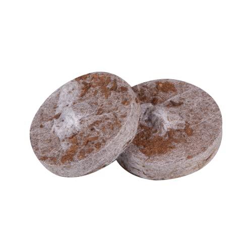 Pastillas de Coco Windhager: La Solución Sostenible para tus Esquejes