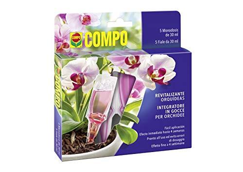 El secreto definitivo para mantener tus orquídeas siempre florecidas y saludables