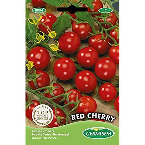Cultiva tus propios tomates cherry en casa con las semillas Germisem Red Cherry