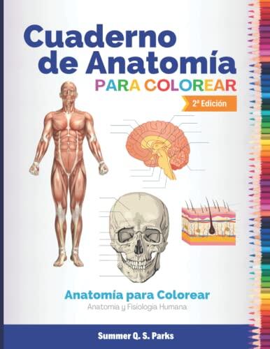 Domina la complejidad del cuerpo humano a través del color y la memoria visual