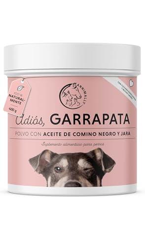 El secreto mejor guardado para la salud de la piel y el pelaje de tu perro
