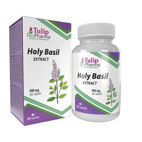 Tulip BioPharma Tulsi Albahaca Sagrada 5.000mg Equivalente | 120 Cápsulas | Suministro para 4 Meses | Extracto 10:1 Ocimum Sanctum de 500mg | Calidad Verificada