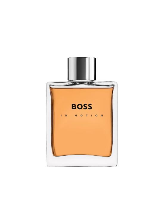 Explorando BOSS In Motion: Características y Percepción