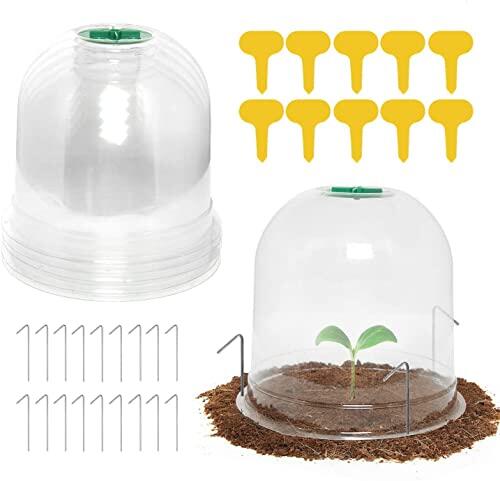 Guía completa sobre las campanas protectoras LATERN para el cultivo y protección de plantas