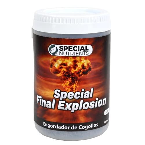 Máximo Rendimiento Floral: Análisis Técnico del Abono xPk 52-34 de Eurogrow