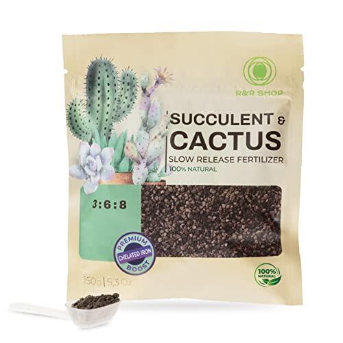 Guía Completa para el Cuidado y Nutrición de Cactus y Suculentas