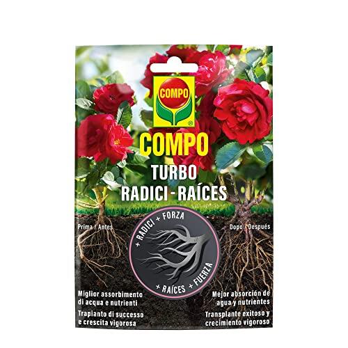 Secretos para un desarrollo radicular fuerte y saludable en tus plantas