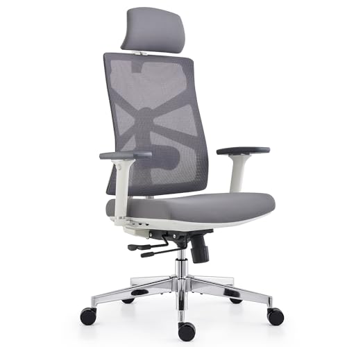 Confort y Productividad: Análisis de la Silla Ergonómica Profesional
