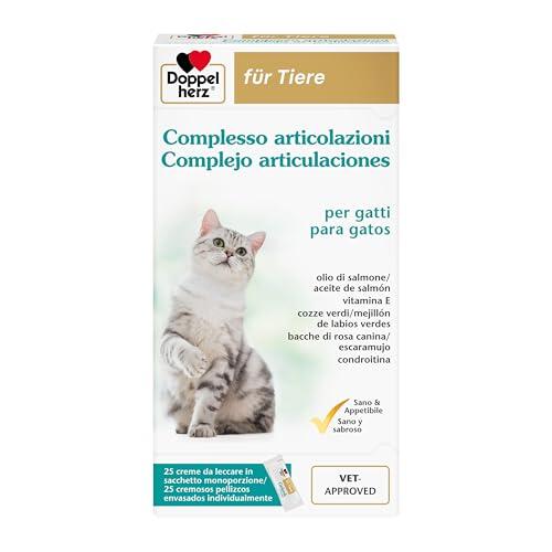 Cómo cuidar la movilidad de tu gato de forma sencilla y eficaz