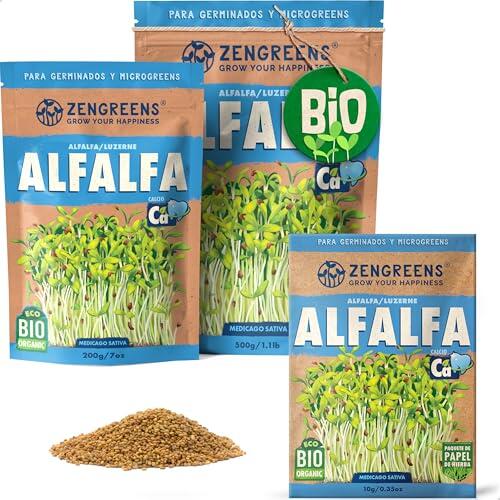 Germinados en casa: Propiedades y cultivo de las semillas de alfalfa ZenGreens