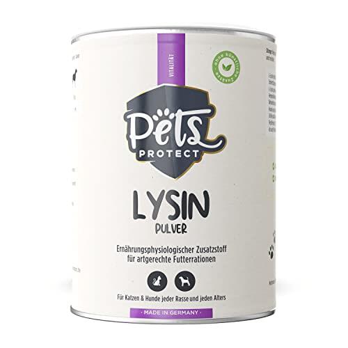 L-Lisina para gatos y perros: Guía completa sobre el suplemento inmunológico de Pets Protect