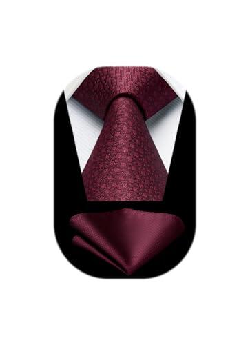 HISDERN Corbatas Vino Rojo Hombre Modernas Corbata y Pañuelo de Boda Conjunto Corbatas de Business