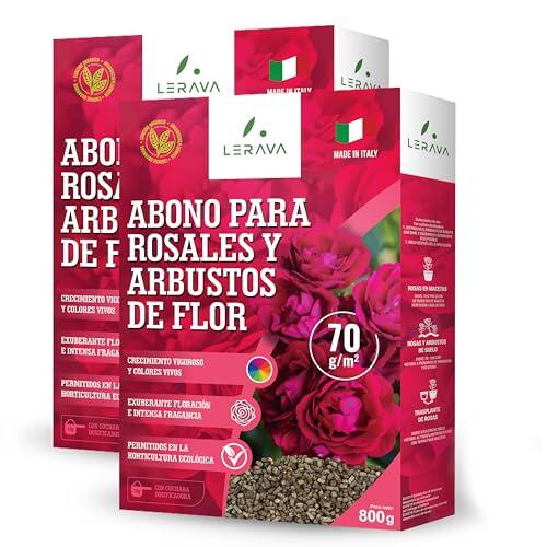 El secreto definitivo para unos rosales deslumbrantes y flores llenas de vida