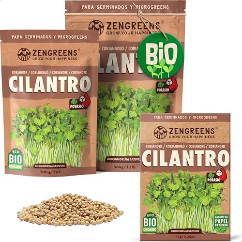 Cultiva tu propio cilantro ecológico en casa: Guía completa y características de ZenGreens