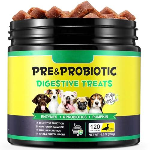 Guía completa sobre los masticables Bieyoc Probióticos para perros y su impacto en la salud