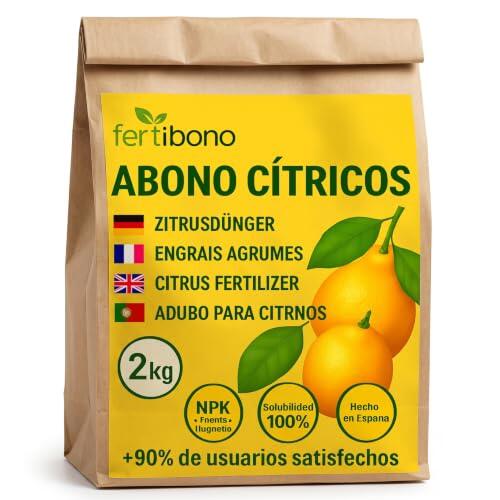 Guía definitiva para el cuidado y nutrición de limoneros y naranjos