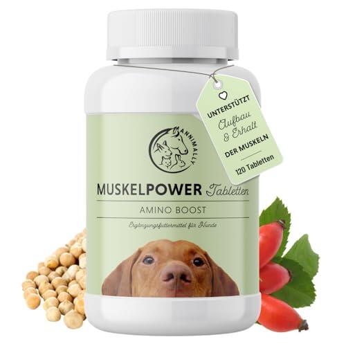 Desarrollo muscular en perros: guía sobre suplementos de aminoácidos y proteínas