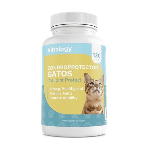 Guía Completa sobre el Condroprotector Vittalogy para la Salud Articular Felina