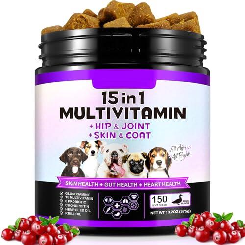 Guía Completa sobre las Golosinas Multivitamínicas 15 en 1 para Perros de Bieyoc