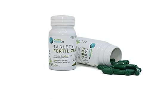 Guía definitiva para la nutrición de raíces en acuarios y plantas terrestres