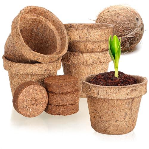 Guía Definitiva para la Germinación: Todo sobre el Juego de Cultivo de Coco com-four