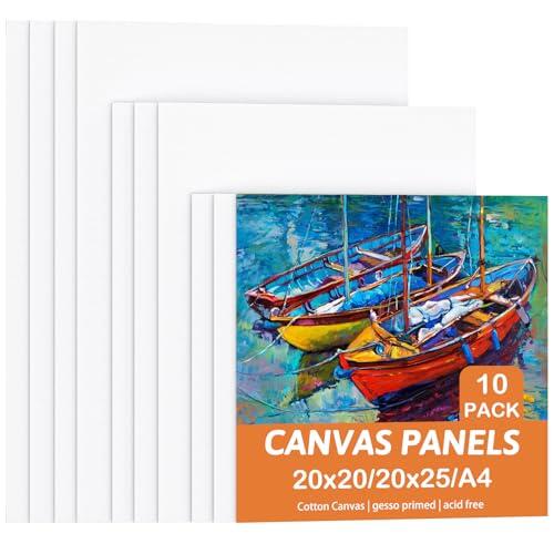 Lienzos para Pintar, Set de 10 Lienzos - 20x20cm, 20x25cm, A4(21x29.7cm), 100% Algodón Sin Acido Preestirado, Acrílico, Óleo, Acuarela