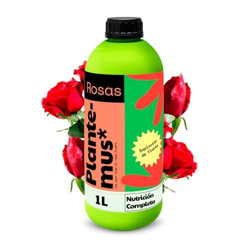 Guía definitiva para el cuidado de los rosales y una floración óptima