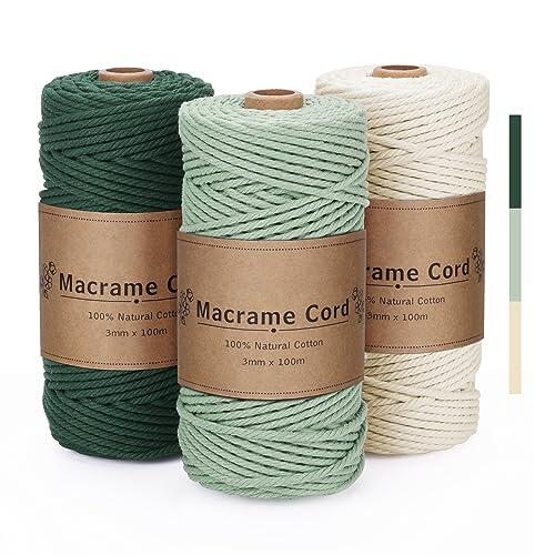 PUWOWYE Hilo Macrame 3mm Verde, Cuerda Macrame Pack Colores, Cordón para Tapices, Manualidades Bricolaje, Hogar Decoración Bohemia, 3x100M