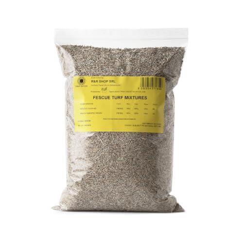 Guía Completa sobre las Semillas de Césped Festuca Arundinacea de R&R SHOP