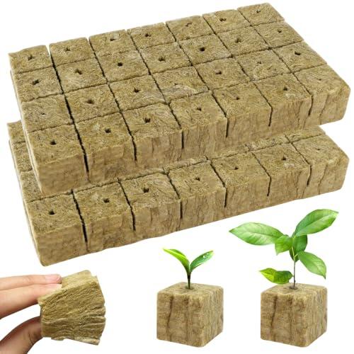 Guía completa sobre los cubos de lana de roca BSTDAYEVER para cultivo hidropónico