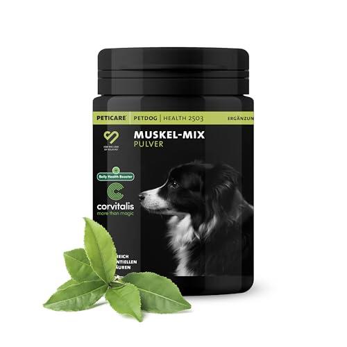 Cómo Mejorar la Musculatura y Vitalidad de tu Perro de Forma Natural