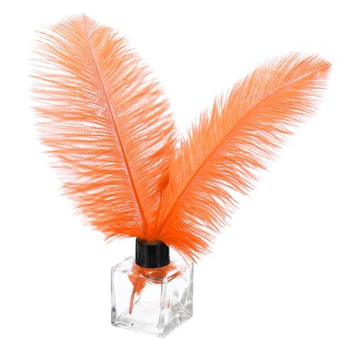 PATIKIL 30 Piezas Plumas de Avestruz Naturales a Granel 8-10" / 20-25 cm Plumas de Avestruz Grandes para Manualidades Decoración del Hogar de Jarrón Boda Fiesta (Naranja)