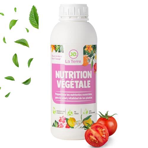 Solución Definitiva contra la Podredumbre Apical en Tomates y Pimientos