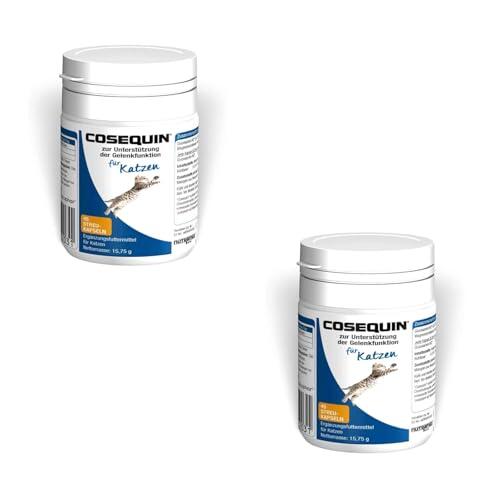 Cómo proteger las articulaciones de tu gato con Ecuphar Cosequin
