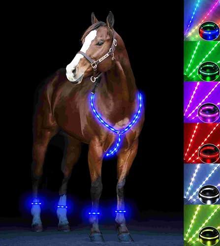 5 piezas de collar y banda de pierna LED para caballo, 7 colores en 1, juego de tachuelas de caballo iluminadas, arnés de caballo LED recargable por USB y correa para las piernas, mayor visibilidad y