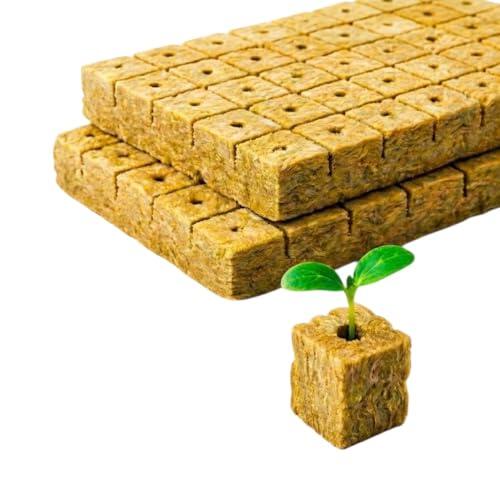 Guía Definitiva para el Cultivo Hidropónico con Cubos de Lana de Roca EKIMOS