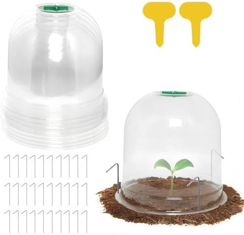 Campanas para Plantas LATERN: Protección Eficaz y Control Climático para el Jardín