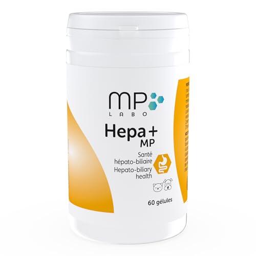 Cómo proteger la salud hepática de tu perro o gato de forma natural