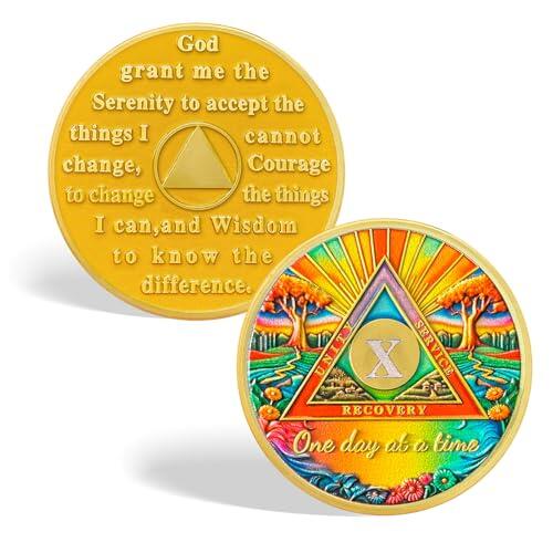 CHURYUML Moneda de sobriedad de 10 años, chip sobrio de un día a la vez, monedas AA de diez años con medallones de recuperación de oración de serenidad, regalos de sobriedad para mujeres y hombres