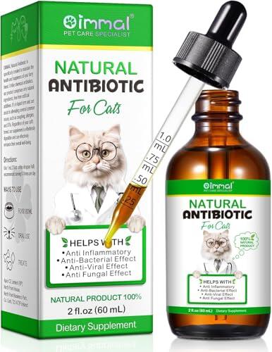 Guía completa sobre los antibióticos naturales y refuerzos inmunológicos para gatos