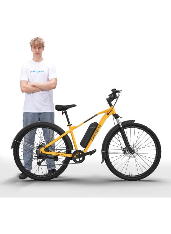 Análisis Detallado: La EMotorad T-Rex Air