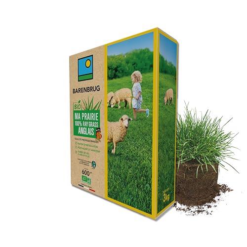 Guía completa sobre la Pradera 100% Raigrás Inglés BIO de Barenbrug para exteriores