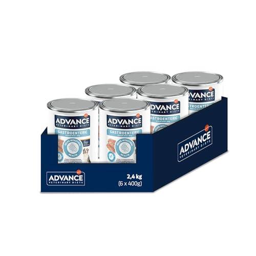 Nutrición clínica avanzada para la salud digestiva canina