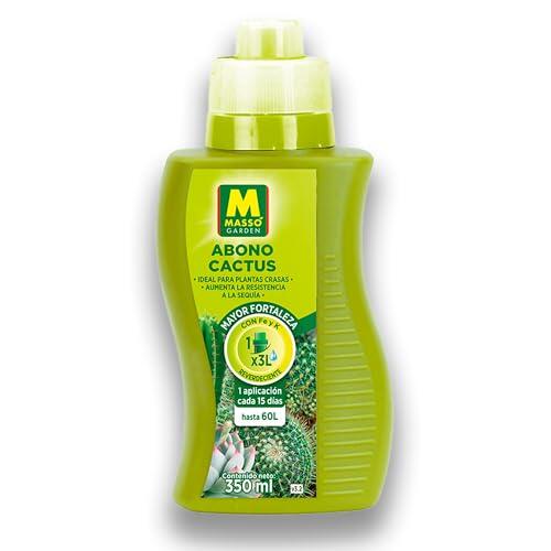 Guía definitiva para el cuidado y nutrición de cactus y suculentas