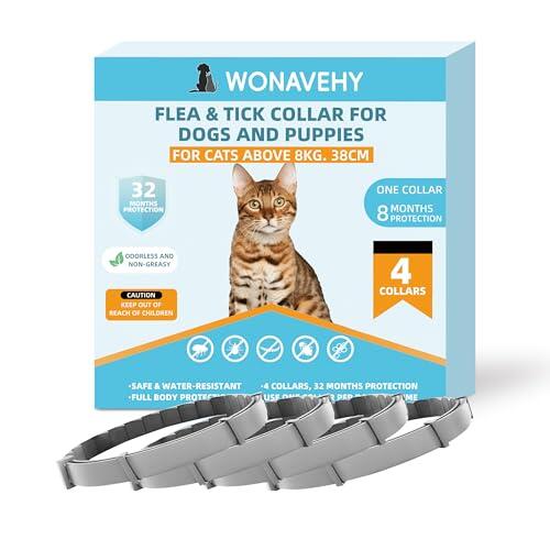 Protección antiparasitaria prolongada: análisis de los collares de 8 meses