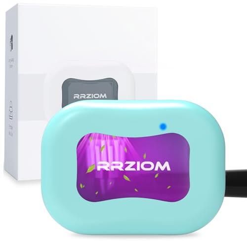 Esterilizador Cepillo Dientes, RRZIOM UV Desinfectante Cepillo Dientes | Portátiles Recargables Esterilizador, Esterilizador Dental para Todos Los Cepillos de Dientes (Azul)