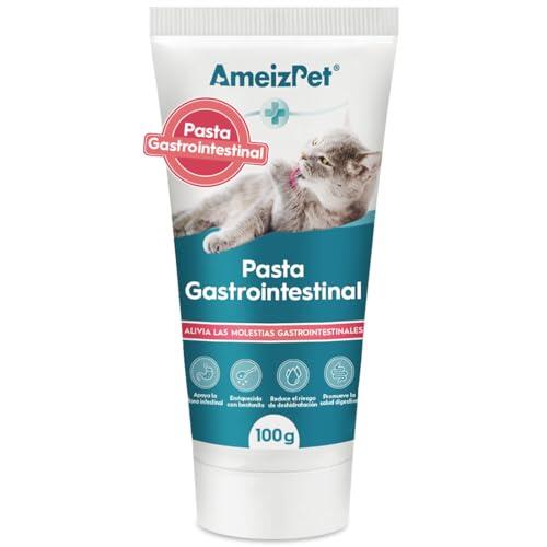 Cuidado Digestivo Felino: Guía sobre AmeizPet Pasta Gastrointestinal