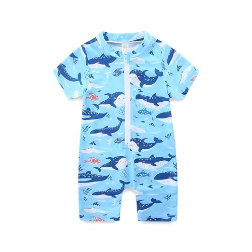 KIDDLETOWN Traje de Baño para Bebé Niño Trajes de baño con Cremallera antirrayos UV Bañador de Una Pieza para Bebé Recién Nacido Manga Corta (6-12 Meses)