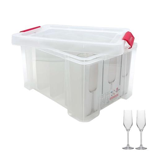 SUNDIS Champ Store, caja almacenaje para copas de champán, plástico transparente, reforzada con tapa de clip, apilable y combinable, capacidad 12 vasos
